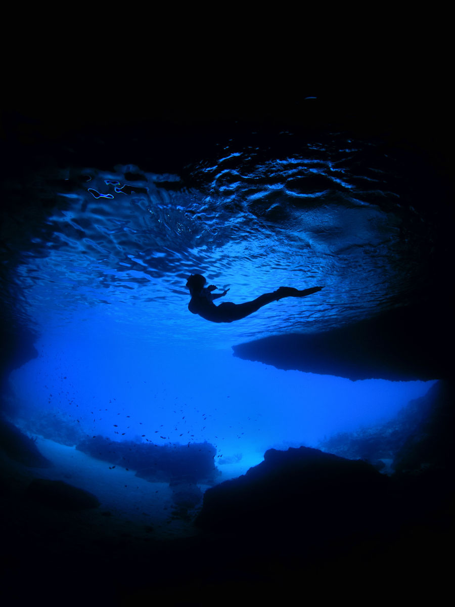 Unterwasserfoto by David Benz